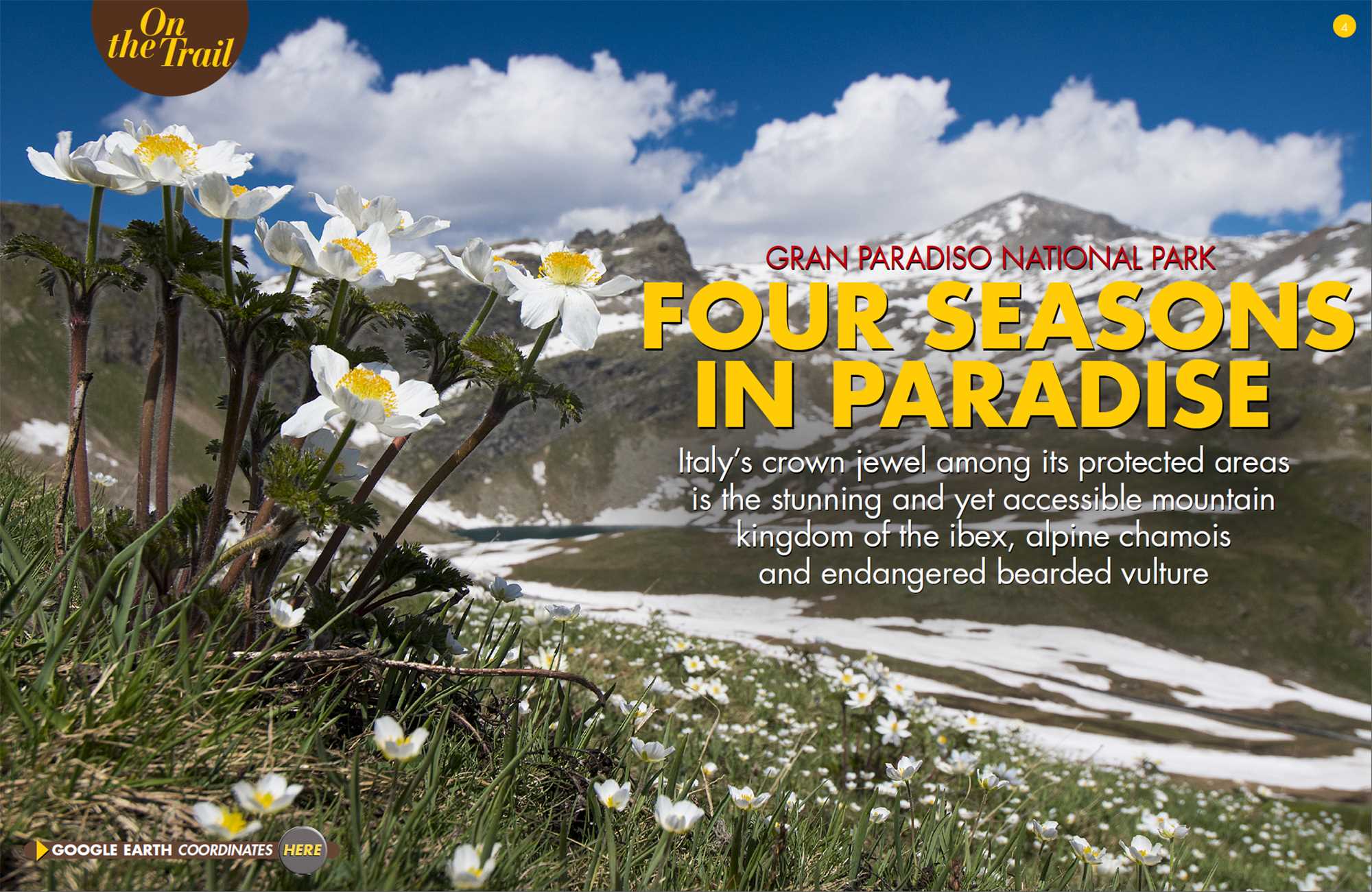 Four Seasons in Paradise