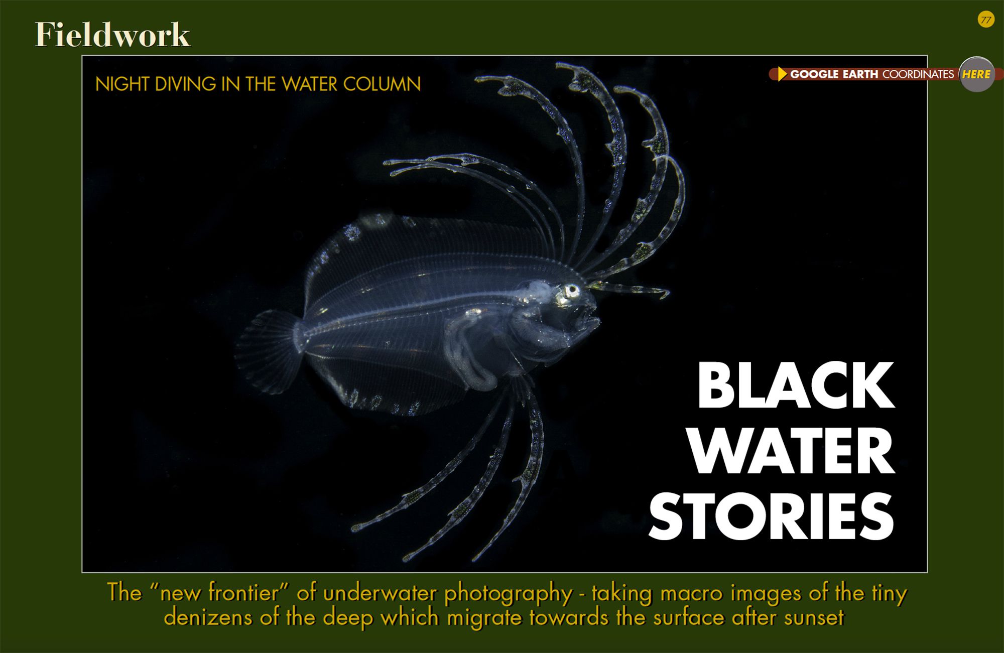 Black Water Stories