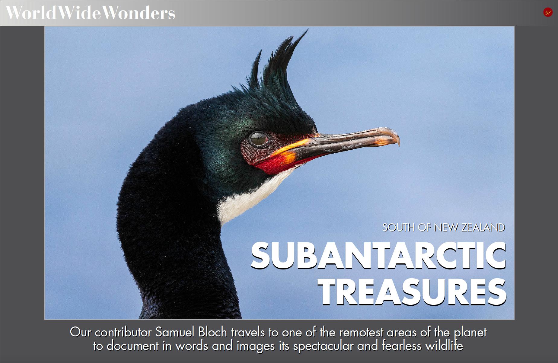 Subantarctic Treasures