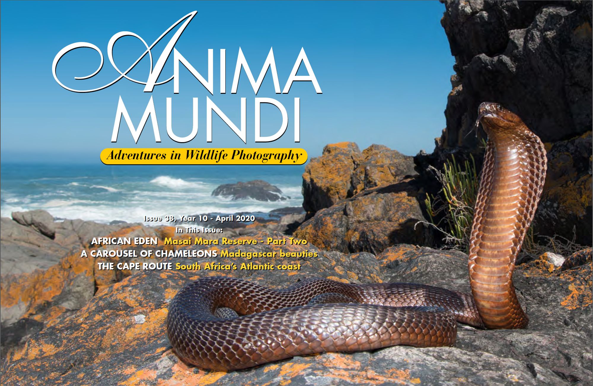 catalogo anima mundi 2004 by Anima Mundi - Issuu